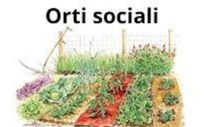 Immagine: orti comunali